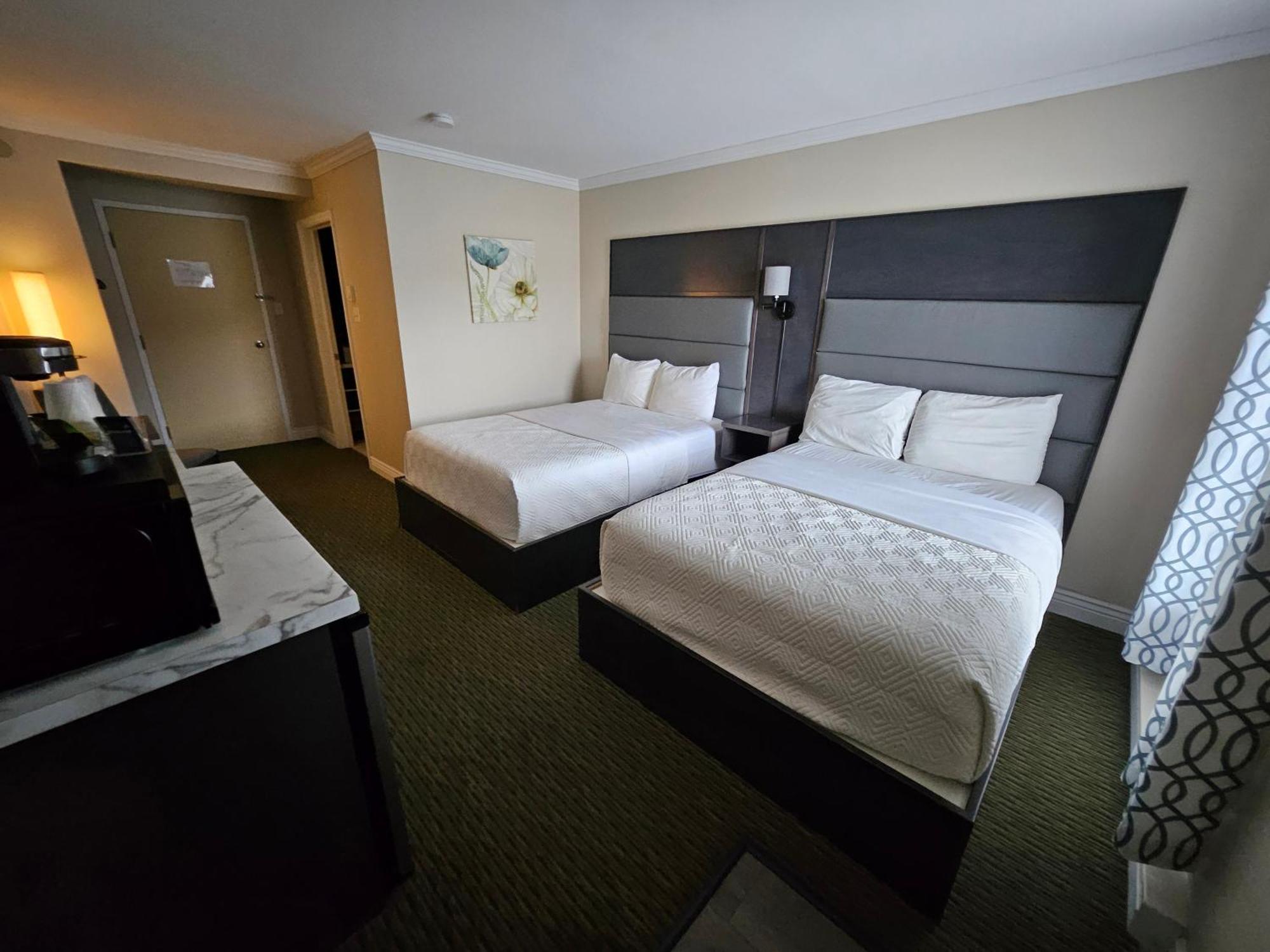 Motel Newfound &